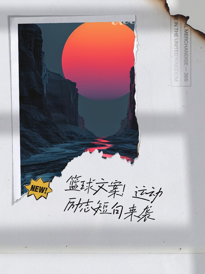篮球训练营中试训的表现评估方法_2